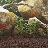 N&aacute;hľadov&yacute; obr&aacute;zok produktu 2 of 5