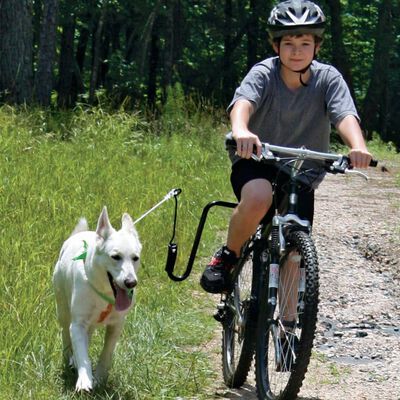 SPRINGER Držiak na bicykel pre psy
