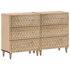 vidaXL Bočn&eacute; skrinky 2 ks 60x33x75 cm mas&iacute;vne mangovn&iacute;kov&eacute; drevo
