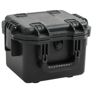 vidaXL Prenosn&eacute; letov&eacute; puzdro čierne 30x24,5x20 cm PP