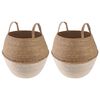 vidaXL Kvetin&aacute;č s uchami 2 ks Biela &Oslash; 32 x 32 cm 100% Morsk&aacute; tr&aacute;va