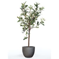 Emerald Umelý olivovník mini strom 65 cm