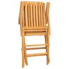 vidaXL Skladacie z&aacute;hradn&eacute; stoličky 6 ks 61x67x90 cm t&iacute;kov&yacute; mas&iacute;v