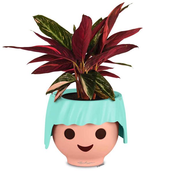 LECHUZA Kvetináč na stôl OJO ALL-IN-ONE akvamarínový zelený