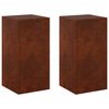 vidaXL Stojan na rastliny 2 pcs Hrdzav&yacute; 30 x 30 x 60 cm