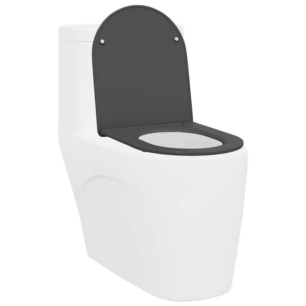 vidaXL Rýchlo uvoľňovacie wc sedátko Antracit 44 x 36.4 x 3.4 cm