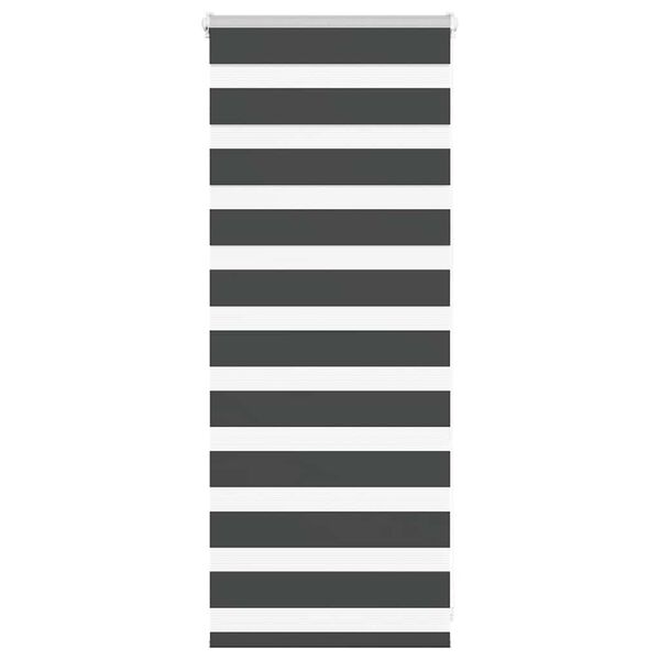 vidaXL Zebra roleta čierna 65x100 cm šírka látky 60,9 cm polyester