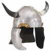 vidaXL Fantasy vikingsk&aacute; prilba pre LARP strieborn&aacute; oceľov&aacute;