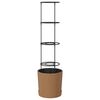 vidaXL Pestovateľ paradajok Naturo ECO &Oslash; 39 x 139 cm WPC