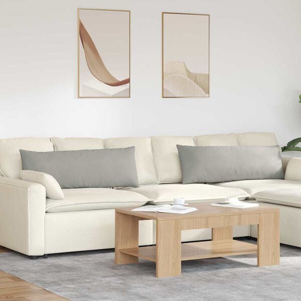 vidaXL Vankúše na pohovku 2 pcs Svetlosivá 120 x 40 cm látka