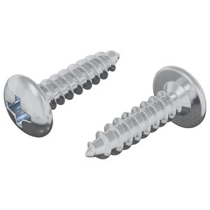 vidaXL Skrutka 2 pcs Strieborn&aacute; M4 x 16 mm Oceľ
