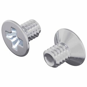 vidaXL Z&aacute;pustn&eacute; hlavy skrutiek 2 pcs Strieborn&aacute; M4 x 6 mm Oceľ