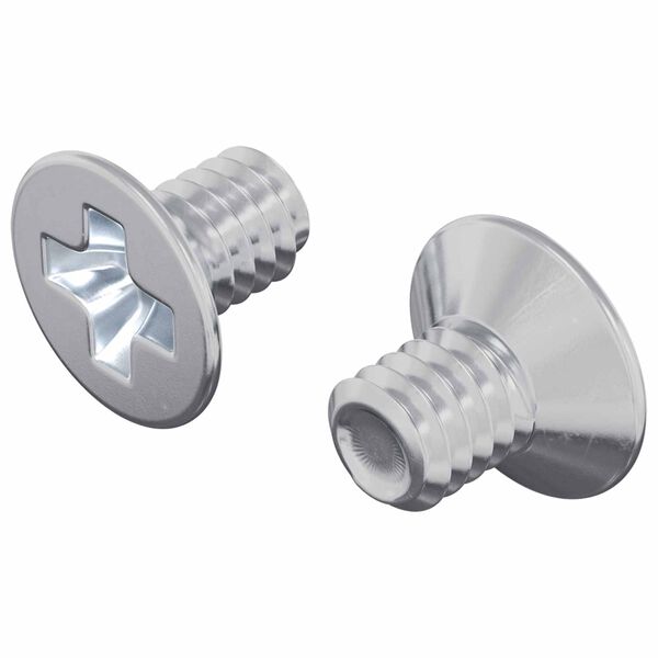 vidaXL Z&aacute;pustn&eacute; hlavy skrutiek 2 pcs Strieborn&aacute; M4 x 6 mm Oceľ