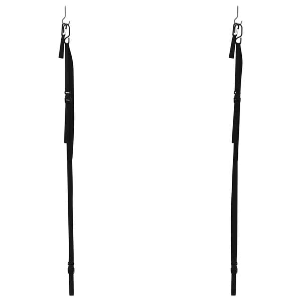 vidaXL Dvojité úložné popruhy na kajak so stojanmi na pádlo 50 kg