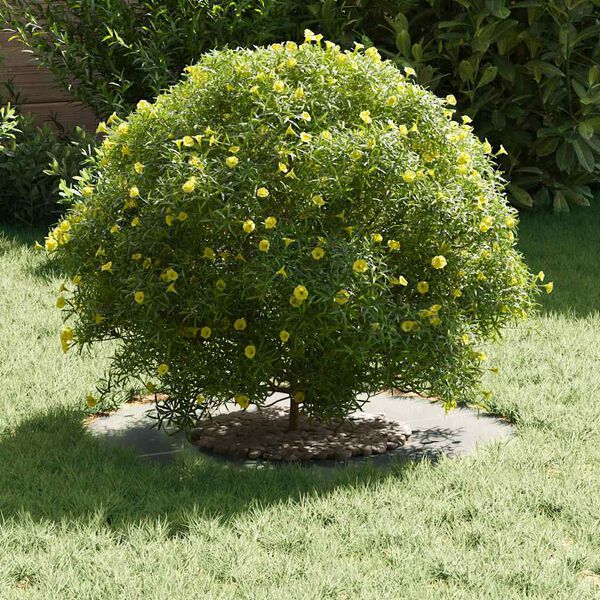 vidaXL vhodný pre ploché stromové krúžky 5 pcs Strieborná Ø30 / 60 cm