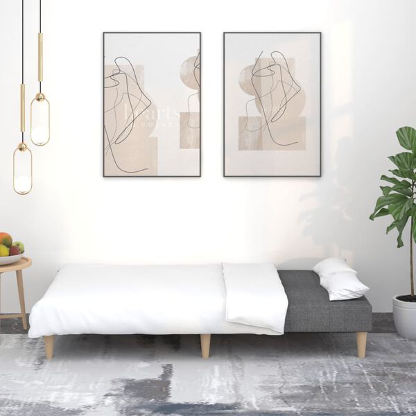 vidaXL 2-miestna rozkladacia pohovka, tmavosiv&aacute;, l&aacute;tka