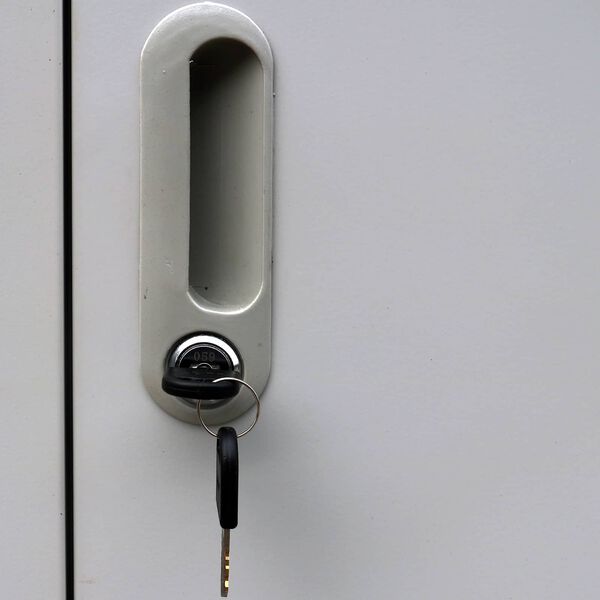 vidaXL Uzamykateľn&aacute; skriňa Siv&aacute; 45 x 90 x 180 cm