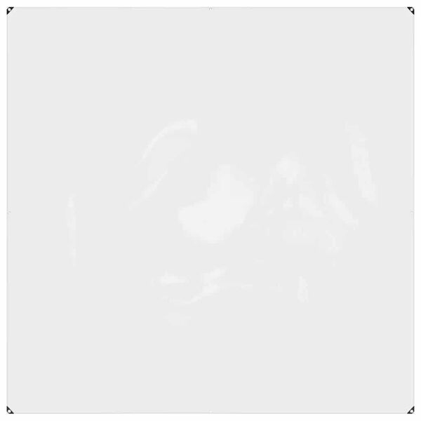 vidaXL Priehľadn&aacute; plachta s očkami 2x2 m PVC