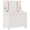 vidaXL Úložný box biely 60x32x45,5 cm masívna borovica