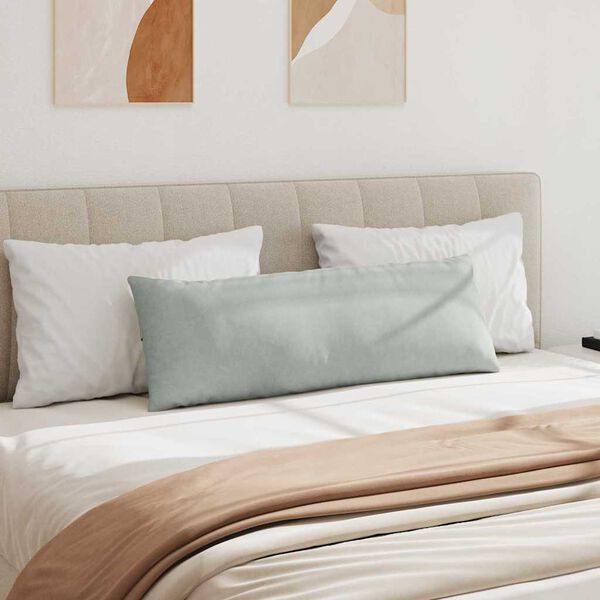 vidaXL Vankúše na pohovku 2 pcs Svetlosivá 120 x 40 cm