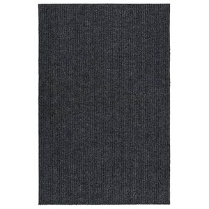 vidaXL Rohož na zachyt&aacute;vanie nečist&ocirc;t 100x150 cm antracitov&aacute;