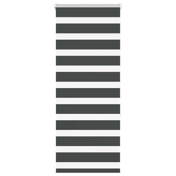 vidaXL Zebra roleta čierna 55x150 cm &scaron;&iacute;rka l&aacute;tky 50,9 cm polyester