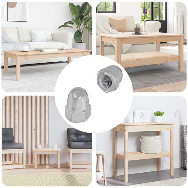 vidaXL Matica 2 pcs Strieborn&aacute; M6 x 10 mm Železo