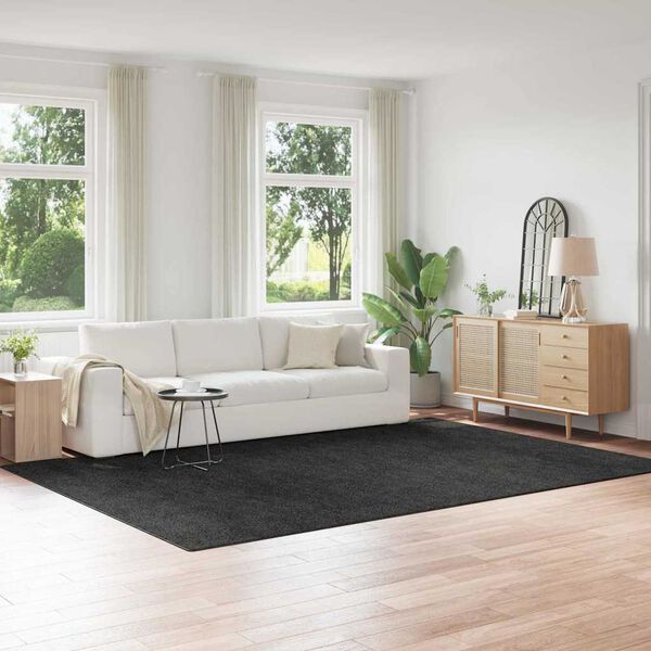 vidaXL Protišmykový Shaggy Koberec Tmavo šedá 240 x 340 cm PP