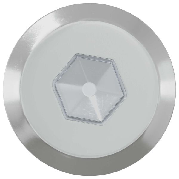 vidaXL N&aacute;bytkov&eacute; skrutky 2 pcs Strieborn&aacute; M6 x 60 mm Oceľ