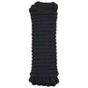 vidaXL Lano na čln 2 mm 6 m Čierna Polyester