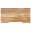 vidaXL Stolov&aacute; doska so zakriven&iacute;m 110x50x2,5 cm surov&yacute; mangov&yacute; mas&iacute;v