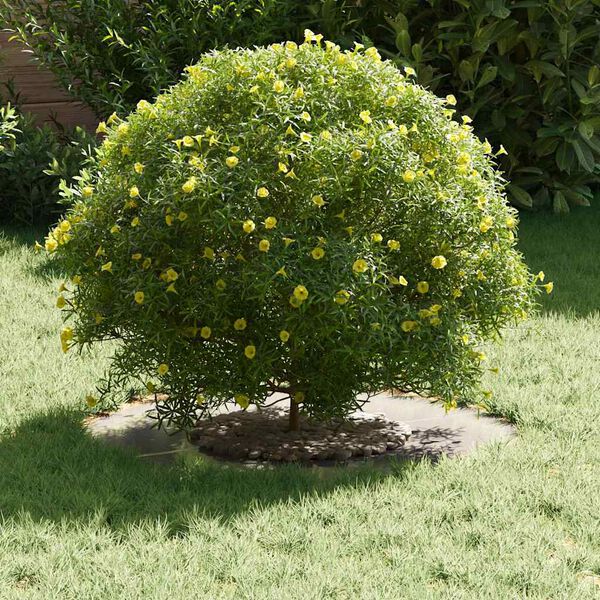 vidaXL vhodný pre plochý stromový krúžok Strieborná Ø30 / 60 cm