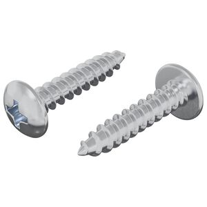 vidaXL Drevo skrutky 2 ks Strieborn&aacute; M4 x 20 mm Oceľ