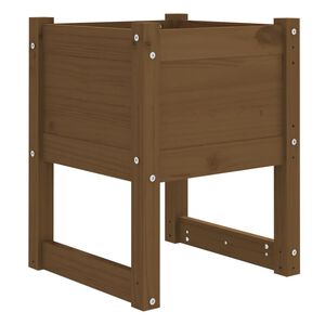 vidaXL Kvetin&aacute;č medovohned&yacute; 40x40x52,5 cm borovicov&yacute; mas&iacute;v