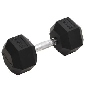 vidaXL Jednoručn&aacute; činka 20 kg liatina