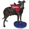 FitPAWS Balančn&yacute; disk pre dom&aacute;ce zviera 36 cm modr&yacute;