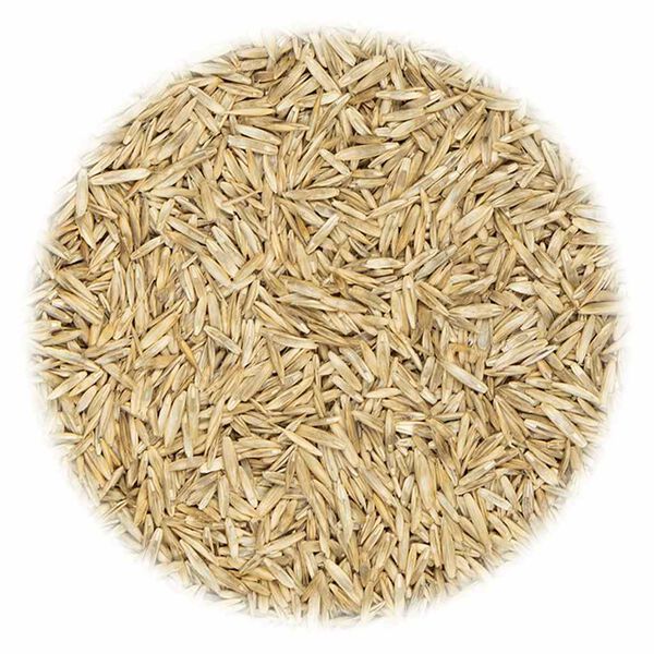 vidaXL Trávové semeno na športoviská 30 kg