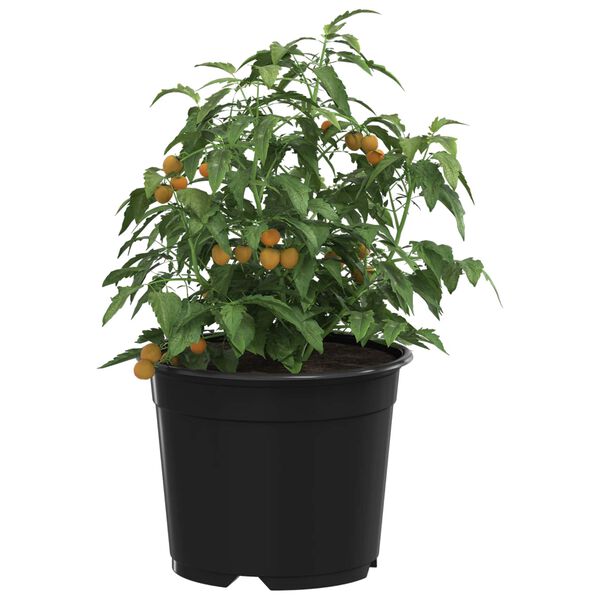 Zobrazuje sa obr&aacute;zok produktu 3 z 11