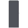 vidaXL &Uacute;ložn&aacute; skrinka Antracit 90 x 40 x 105 cm Oceľ