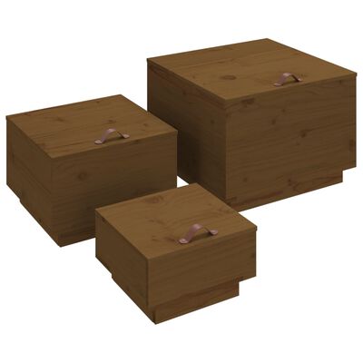 vidaXL Úložné boxy s vekom 3 ks medovohnedé masívna borovica
