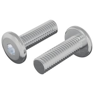 vidaXL Skrutka 2 pcs Strieborn&aacute; 8 x 25 mm Oceľ