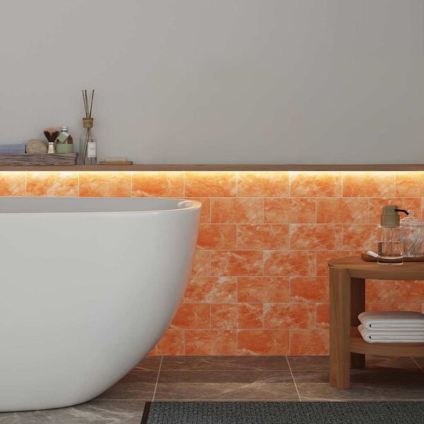 vidaXL Soľné Kamene 10 pcs Ružová 20 x 5 x 10 cm Kamenná soľ