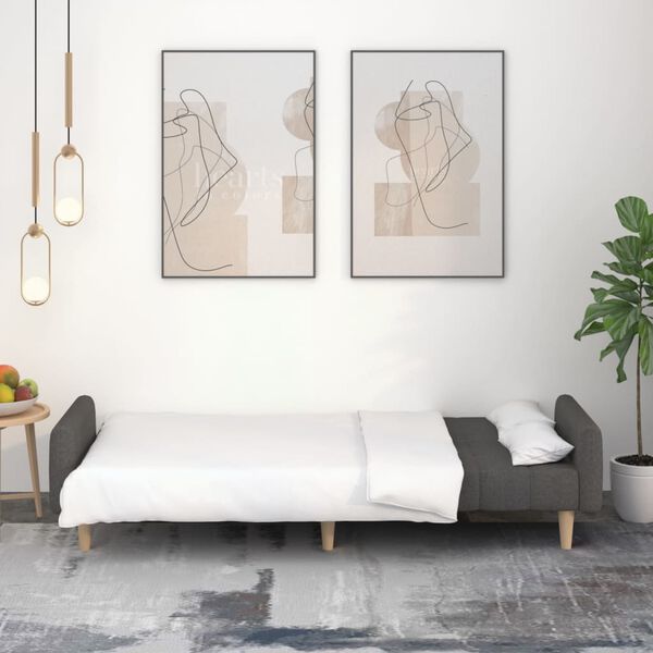 vidaXL 2-miestna rozkladacia pohovka tmavosiv&aacute; l&aacute;tkov&aacute;