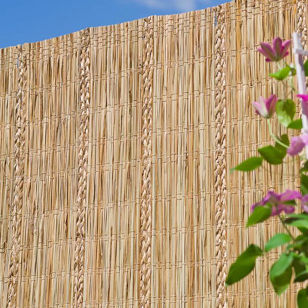 Nature Záhradná zástena z ostrice Carex 3x1m