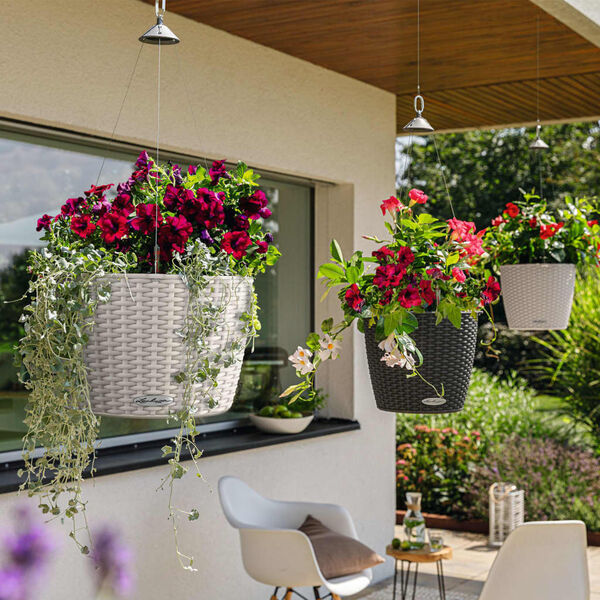 LECHUZA Závesný kvetináč NIDO Cottage 35 ALL-IN-ONE, žulovo sivý