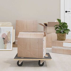 vidaXL Transportn&eacute; voz&iacute;ky 2 ks, obdĺžnikov&eacute; 50x35x11,5 cm 250 kg