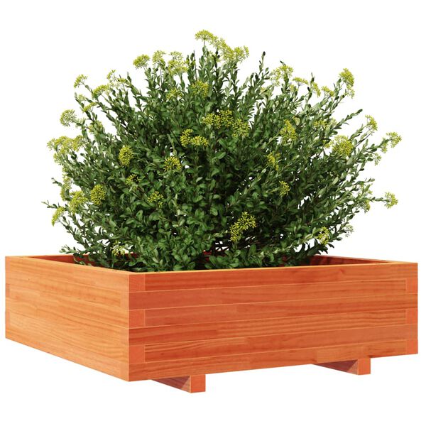 vidaXL Z&aacute;hradn&yacute; kvetin&aacute;č voskovohned&yacute; 80x80x26,5 cm mas&iacute;vna borovica