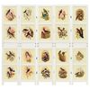 vidaXL Romdivider Panel Biela 176,5 x 165 cm MDF