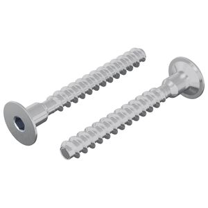 vidaXL Skrutka 2 ks Zinkovan&yacute; 5 x 40 mm Železo
