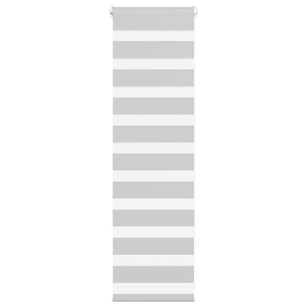 vidaXL Zebra roleta svetlosivá 50x100 cm šírka látky 45,9 cm polyester
